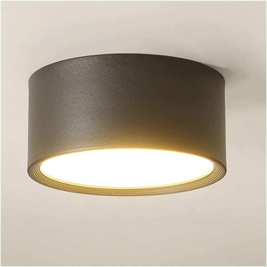 Rond des plafonniers compact pour créer une ambiance douce dans un salon moderne