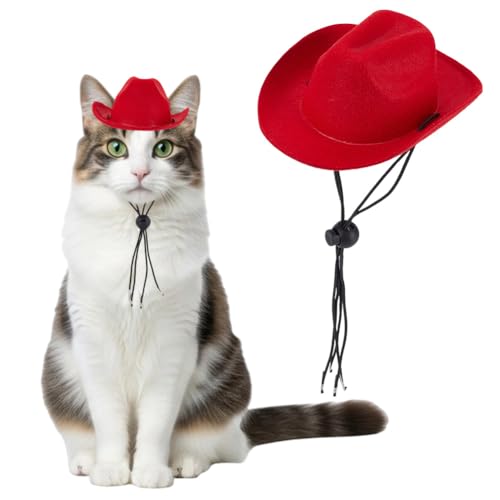 Sombrero vaquero pequeño para gato y perro en rojo