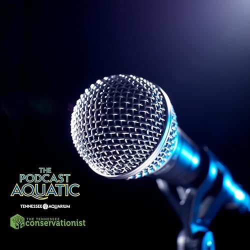 50th Episode Special: A Real Table-Turner