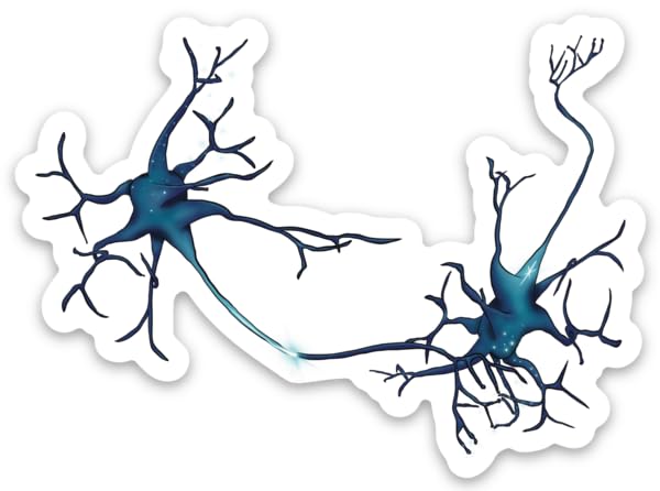 Neuron Sticker, Synapse Between Neurons, Neurology, Neuroscience Gift, Anatomy Art, Laptop Decal, Water Bottle Decor