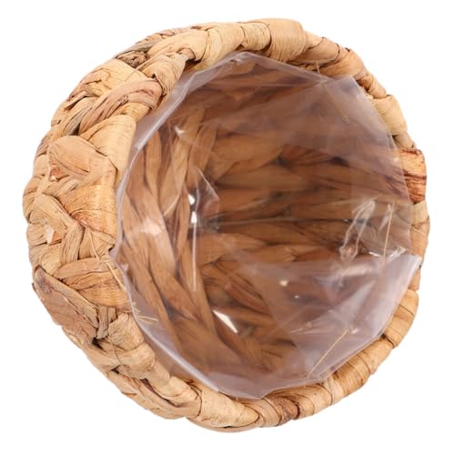 Macetas Colgantes Redondas Marca ifundom