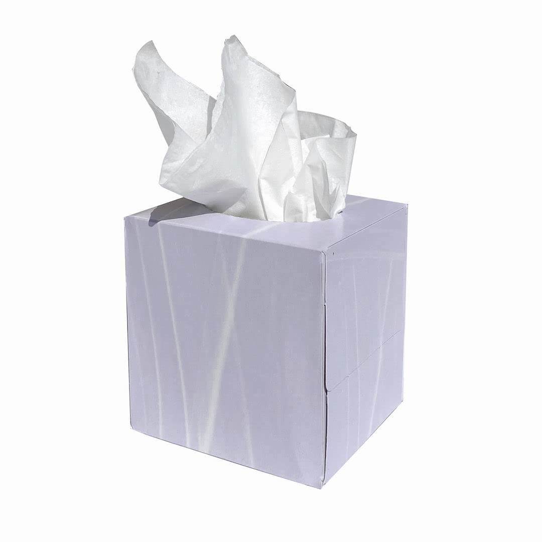 CLOUDSOFT Professional Facial Cube Tissue 2 Ply Boxed Tissues, 24 Tissue Boxes x 70 White Facial Tissues (1,680 Sheets),Made in The UK and distributed by Vinn Dunn Ltd. in Kent.