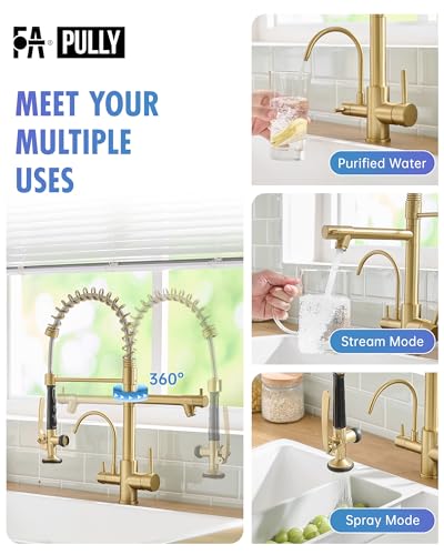 Image of Fapully 3 Way Kitchen Faucets with Sprayer and Water Filter Brushed Gold