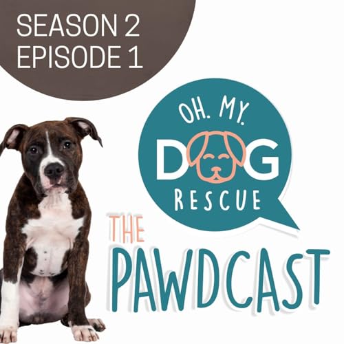 We're Back! 2026 Rescue Reboot - S2 E1