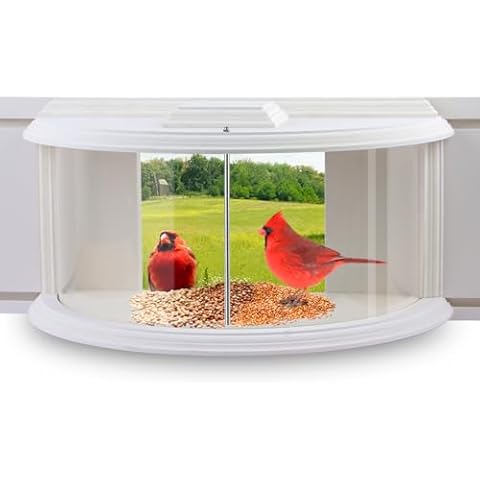 JOYSEUS Window Bird Feeder, 180° Clear View Bird Feeder, Durable and Elegant in-Window Bird Feeder for Watching Birds - Embrace The Delight of Bird Feeder. Cover