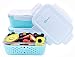 SwooshBox Premium Storage Glass Food Container Set with Non-slip Silicone Sleeve - Glass Food Storage Containers with Lids - 3 Piece, 28 Ounce, BPA Free, Leak Proof, Air Tight Food Lunch Containers
