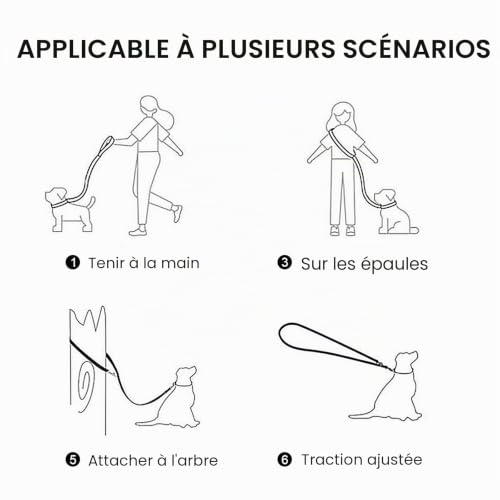 Laisse pour Chien pour Grands/Moyens/Petits Chiens Laisse Mains Libres pour la Course, la Marche et Le Dressage, en Nylon très résistant, Longueur 2,3m, diamètre 1,2cm – vue 4