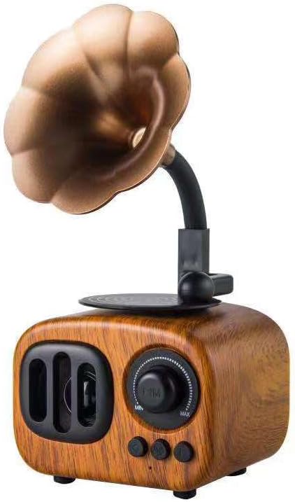 Retro Bluetooth Speaker with FM Radio – Vintage Portable Wireless Speaker, Rechargeable Cordless Audio Player for iPhone, Android & Tablet, Ideal for Home, Bedroom, Office & Outdoor Use