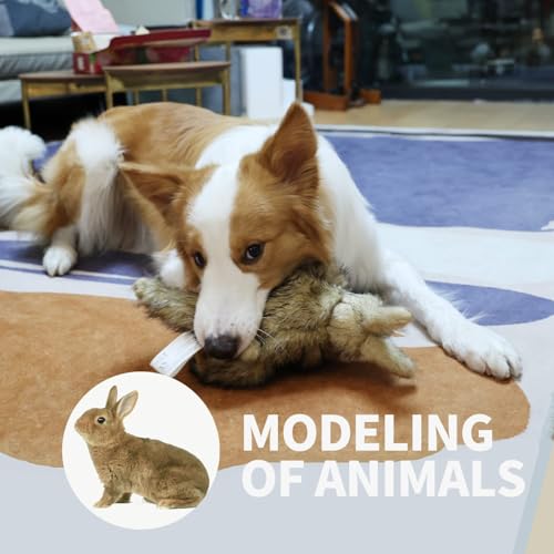 All For Paws Hundespielzeug Hase mit Quietschfunktion, 30 cm