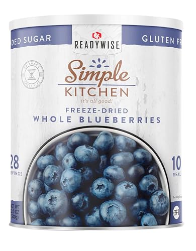 READYWISE - Simple Kitchen Freeze Dried Whole Blueberries, 28 Servings,