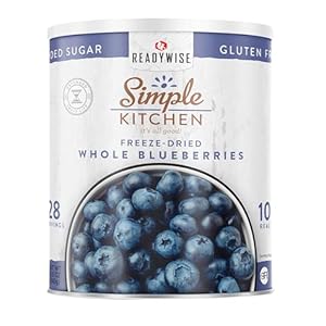 READYWISE – Simple Kitchen Freeze Dried Whole Blueberries, 28 Servings, Vegan, Gluten Free, Fruit Snacks, Emergency Supplies, Dehydrated Fruit, Blueberries