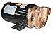 DAYTON 4JPE5 Turbine Pump, 1 1/2 HP, 3 Ph, 3.9/2.0 Amp