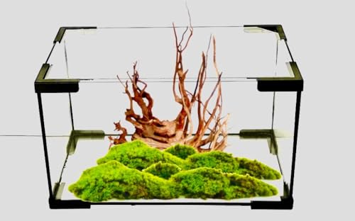 BETTASHOP.ES Acuario PECERA DE Cristal para Peces 11 litros