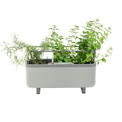 Vego Garden Herb Indoor Plant Box
