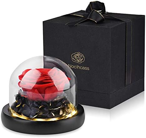 Eternal Rose- Preserved Flower Rose Handmade Gift Box Rose in a Glass Dome with LED Light to Girl Women for Valentine's Day Mother's Day Anniversary Birthday