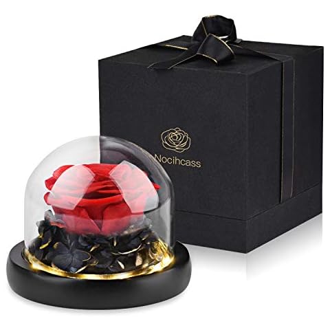 Eternal Rose- Preserved Flower Rose Handmade Gift Box Rose in a Glass Dome with LED Light to Girl Women for Valentine's Day Mother's Day Anniversary Birthday Cover