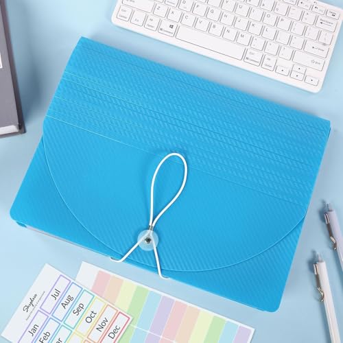 SKYDUE Organizador de arquivos, organizador de arquivos sanfonado de 12 bolsos, pasta de arquivos ex