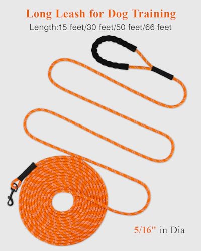 Taglory Leash Detailed View