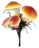 ▶ Anwendungsbereich: Geeignet für Wohnzimmer, Schlafzimmer, Flure, Treppen, Restaurants, Hotels, Motels, Geschäfte, Veranden, Büros, Bars, KTV oder andere Innenanwendungen.