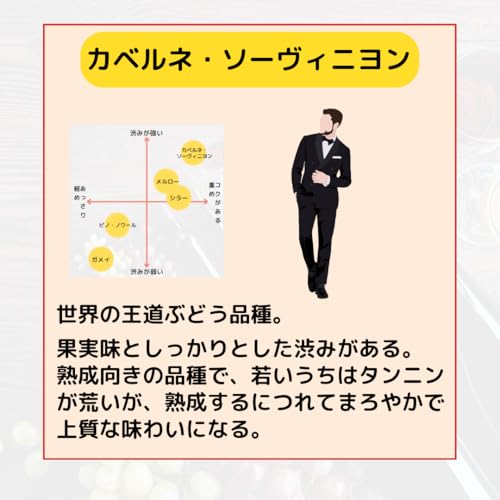 My Wine CLUB カベルネソーヴィニヨン 6本セット