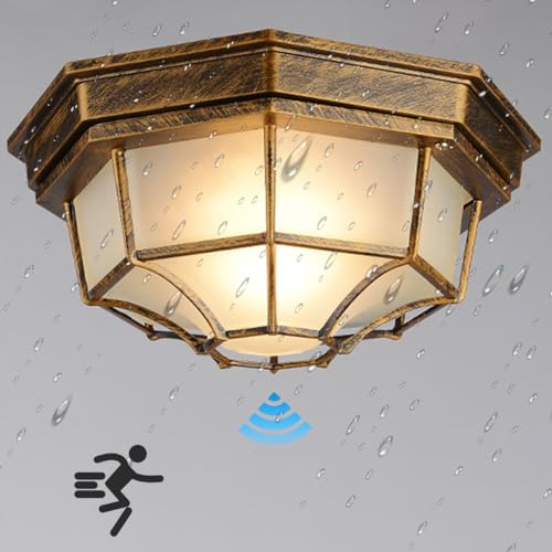 Retro LED lámpara de techo con sensor de movimiento,IP54 impermeable lámpara de techo de aluminio,Industrial rústico loft pasillo luz,Vintage iluminación de techo lámpara de techo al aire libre
