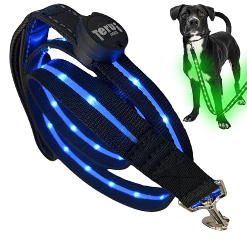 TERUI Lights Osaka �� ���郊�[�h LED �[�d�� USB-C ��� �U�� �����[�h ���C�g 1.2m ���� ���� �S������ �h�� 16���Ԏg�p ���̓o�b�e���[ �����P�[�u�� ���^�� ���^�� ��^�� ���S�΍� �U���p ��U�� �y�b�g ����