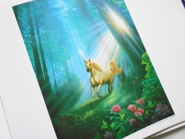 カーク・レイナート★ガイアの歌 シバクローム★アールビバン ヒーリングアート Amazon.co.jp: 図録本カークレイナート版画集作品集オーロラ