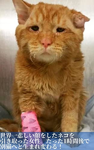 Amazon Co Jp 世界一悲しい顔をしたネコを引き取った女性 たった 1時間後に別猫へと生まれ変わる ビフォーアフター Ebook おもしろい人生 本