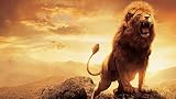 FAWFAW Puzzle Collection 1000 Pièces Lion De Narnia Puzzle Jouets Enfants Cadeaux 75X50Cm