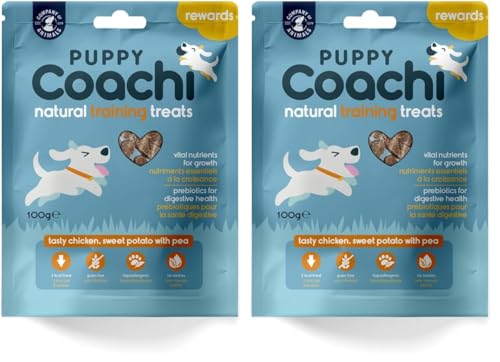 Coachi Friandises Naturelles pour Chiots - Friandises sans Céréales, Saines et Hypoallergéniques. Friandises Moelleuses Faciles à Casser, Idéales pour éduquer et récompenser Les Chiots (Poulet, 100g)