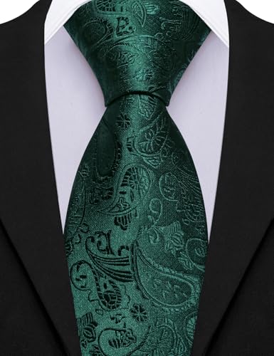 Image of Barry.Wang Paisley Tie for Men Silk Woven Necktie and Tie Clip Set Wedding Party Business Formal