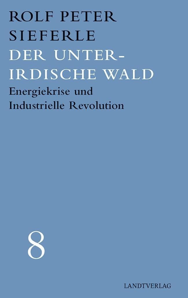 Der unterirdische Wald: Enegiekrise und Industrielle Revolution (Werkausgabe Rolf Peter Sieferle)