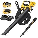 Cordless Leaf Blower & Vacuum