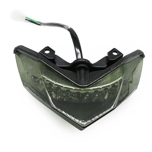 Luz trasera para 300 ideal para renovar el sistema de iluminación y señales 2