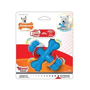 Nylabone 983770 Dura Power Chew, X-vormige botten, rundvleessmaak, voor kleine honden (tot 11 kg), S