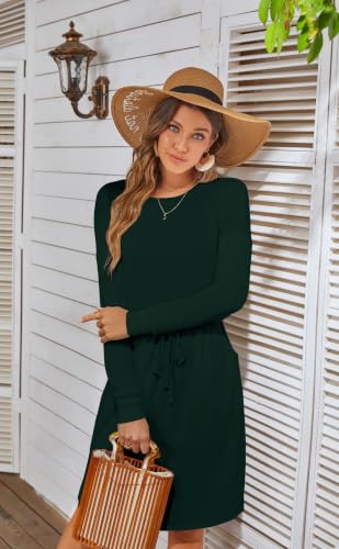 Image of Simier Fariry Womens Fall Winte Long Sleeve Knee Length Casual Dress with Pockets