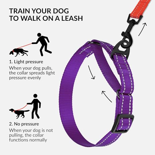 CollarDirect Martingale Dog Collar Heavy Duty Nylon Slip Collars for Small Medium Large Dogs [Nylon, Reflective, Purple, M, 13"-18"] by CollarDirect - Image 2