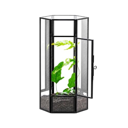 NCYP Glass Enclosure Terrarium with Mesh and Door for Small Spiders - Hexagon Shape Small Mantis Vented Glass Terrarium 4.1 x 3.6 x 7.8 Tabletop Decor Black (Plants Not Include)