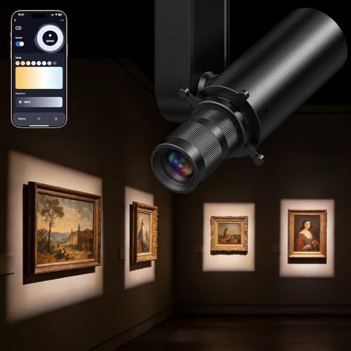 Image of Glendan Picture Light for Wall, Professional Art Light for Museum & Gallery