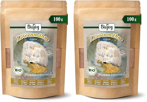 Poudre de champignon champignon Lion's Mane séché Hydne Hérisson