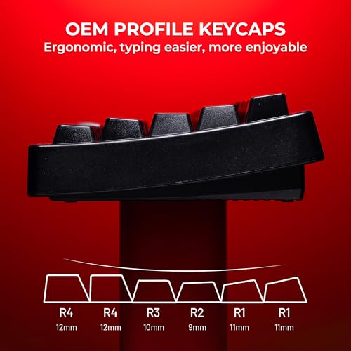 Image of HITIME x XVX Keycaps 60 75 100 Percent - Shine Through Custom Keycaps w /IMD Tech, Large Font, Big Lettering Key Cap for Mechanical Keyboards, Full 118 Key Set, OEM Profile, Black