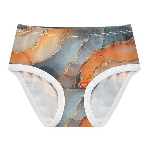 Cotton Panties Underwear for Daily Wear Briefs Underwear for Toddler in Sizes 2T,3T, 4T, 5T, 6Y and 8Y