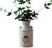 GTKINGD Shabby Chic vintage wazony rustykalne dom wiejski wazony dzban dzban dzban wazony - żelazna puszka na mleko w kształcie -kształt zaprojektowany do ogrodu ślubu domu biura (kolor: biały, nazwa rozmiaru: 14 x 15,5 cm)