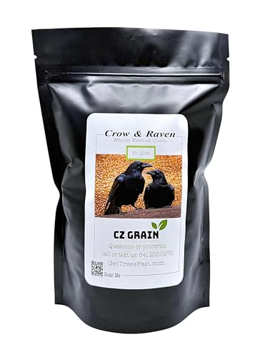 CZ Grain 5 Pounds Premium Whole Kernel Corn for Feeding Birds Crow & Raven Wildlife Feed Outdoor Bird Food for Crows Ravens & Backyard Wildlife Iowa Grown Corn in Resealable 5 lb Bag