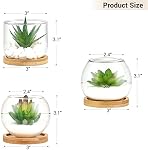 Mkono Artificial Succulent in Clear Glass Pot, Set of 3 Mini Potted Fake Plants for Women Office Decor Small Faux Green Plant with BambooTray for Bookshelf Bathroom Kitchen Decor Tabletop Centerpiece