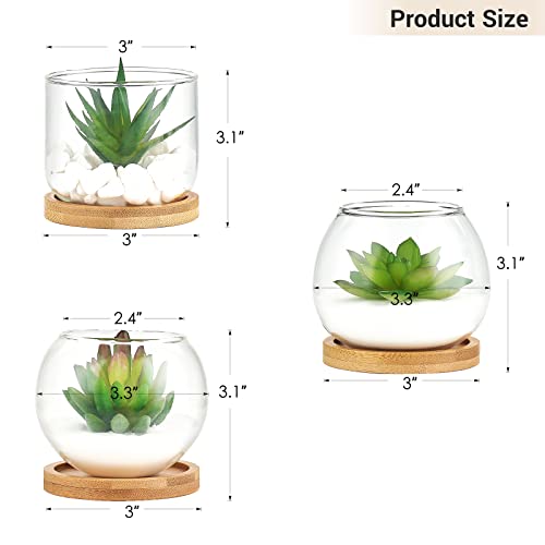Mkono Artificial Succulent in Clear Glass Pot, 3 Mini Potted Fake Plants for Women Office Decor Small Faux Green Plant with BambooTray for Bookshelf Bathroom Kitchen Tabletop Centerpiece by Mkono - Image 5