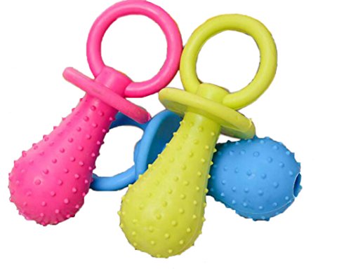 Maiitmor pނ e jbv S ߋ ϋv  (1, F_)