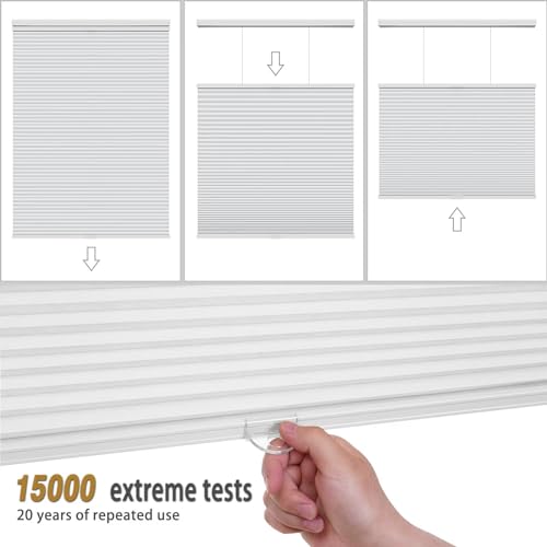 Changshade Light Filtering Cellular Shades Cordless, Top Down Bottom Up Blinds for Windows, 1.5\" Single Cell Pleated Honeycomb Window Shades for Bedroom, Child Room,24\" Width x36 Height,White