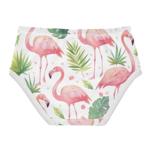 GuoChe Triangle Panties Underwear Moisture Wicking Organic Underpants for Toddler in Sizes 2T,3T, 4T, 5T, 6Y and 8Y2