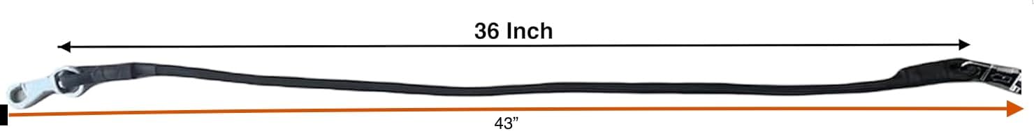 Majestic Ally Pack of 2, Bungee Trailer Tie for Horse Haulage with Panic Snap and Bull Snap - 36 Inch (Hunter Green)